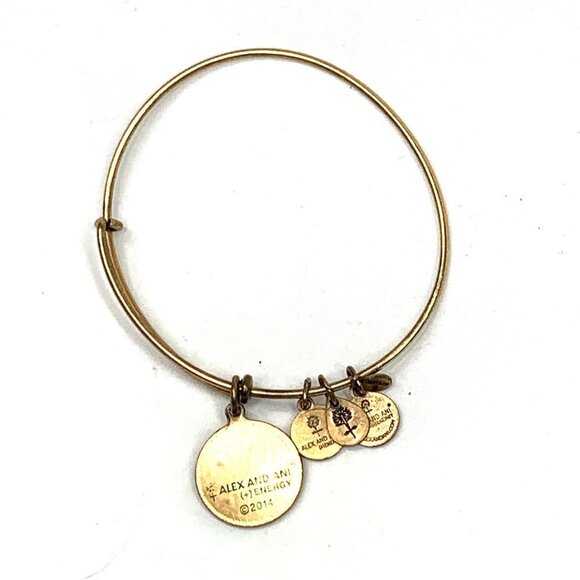 Alex and Ani Love Charm Bracelet Gold Finish - Expands 2"- 3.5" - Picture 2 of 2